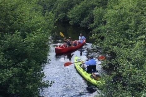 a man riding on the back of a boat next to a forest