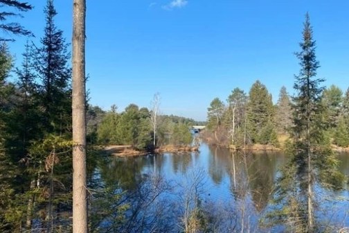 a body of water surrounded by trees